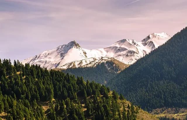Les meilleures astuces pour un voyage écoresponsable