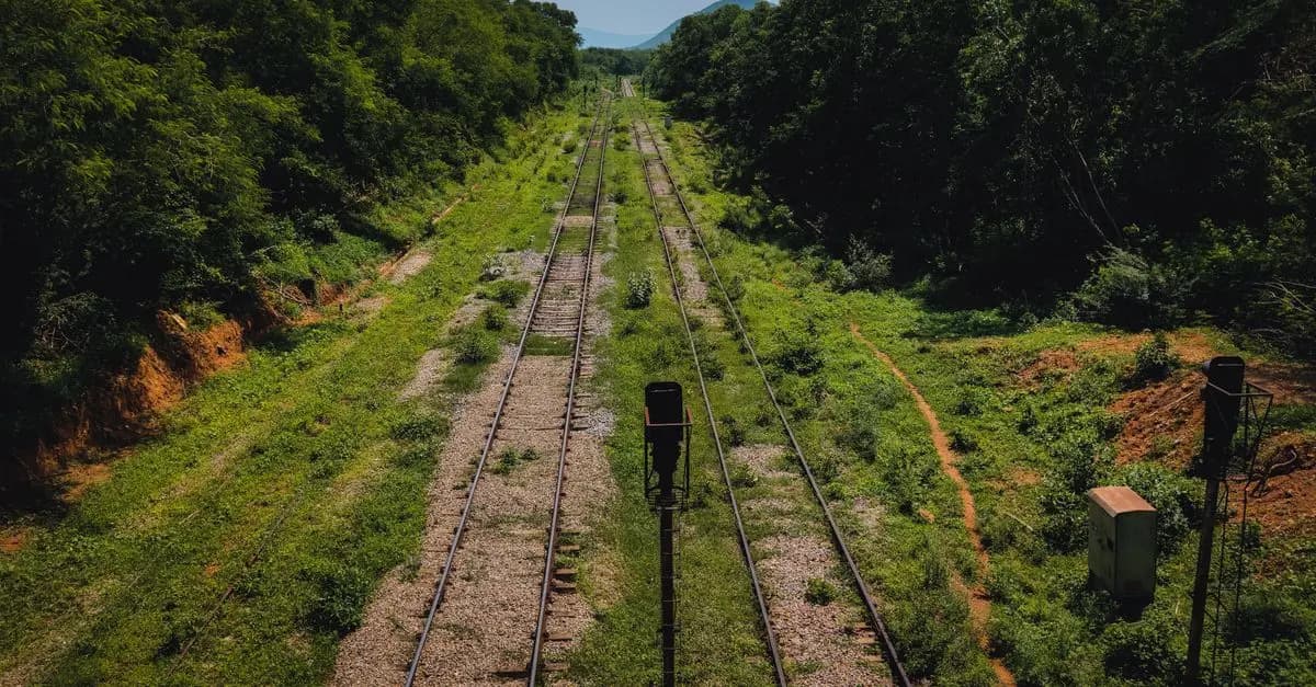Les Meilleurs Conseils pour Voyager en Train : Écologique et Pratique