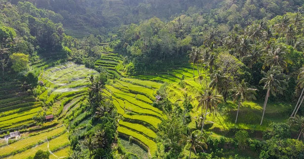 Les lieux les plus instagrammables en Asie