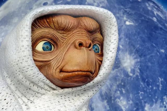 Les meilleures pratiques pour voyager écoresponsable