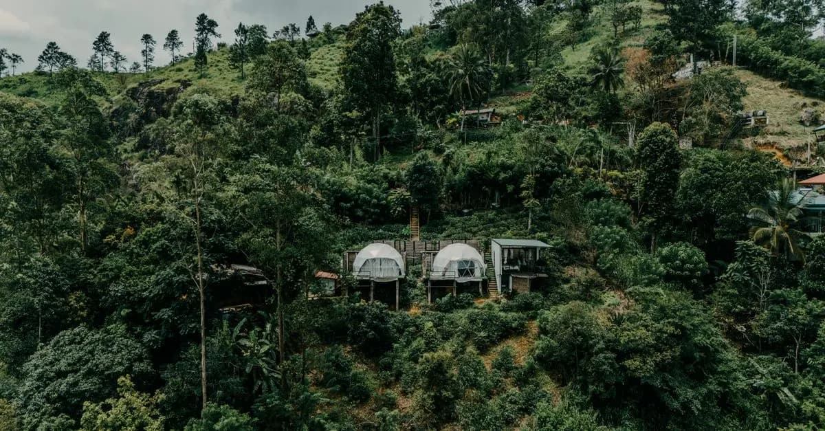 Les meilleures destinations de voyage pour le tourisme durable