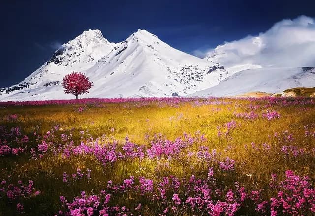 Les destinations émergentes à explorer pour un voyage inoubliable