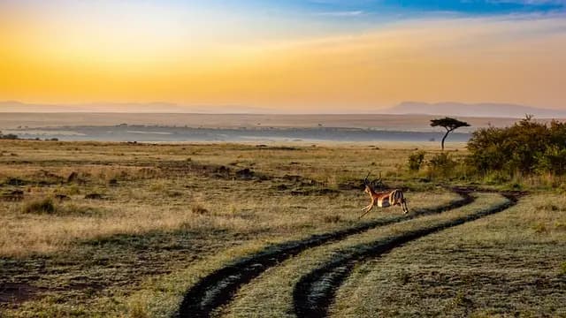 10 astuces pour un voyage écoresponsable réussi