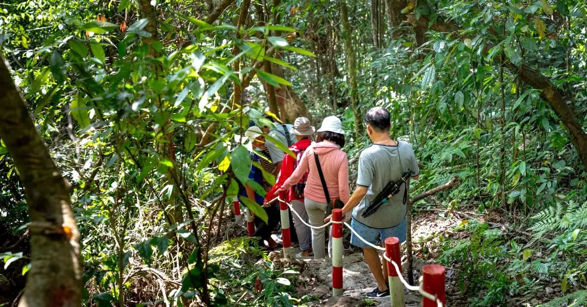 Les incontournables du tourisme écotouristique