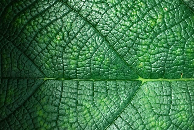 Les meilleures astuces pour un voyage écoresponsable
